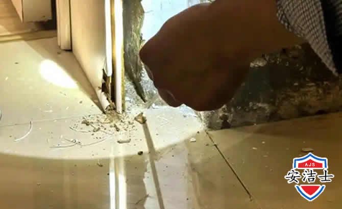 江北区房屋建筑防治白蚁