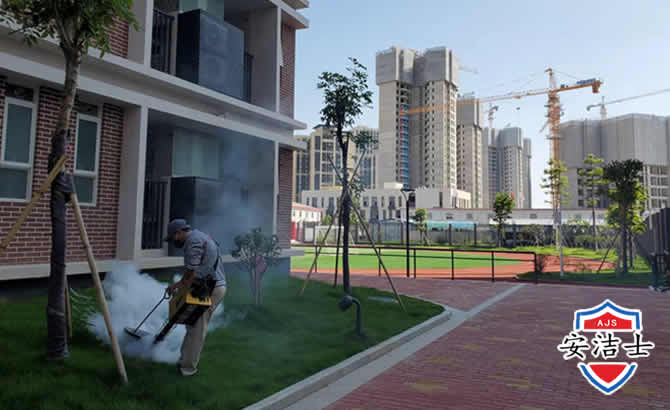 江北区工厂工地除白蚁