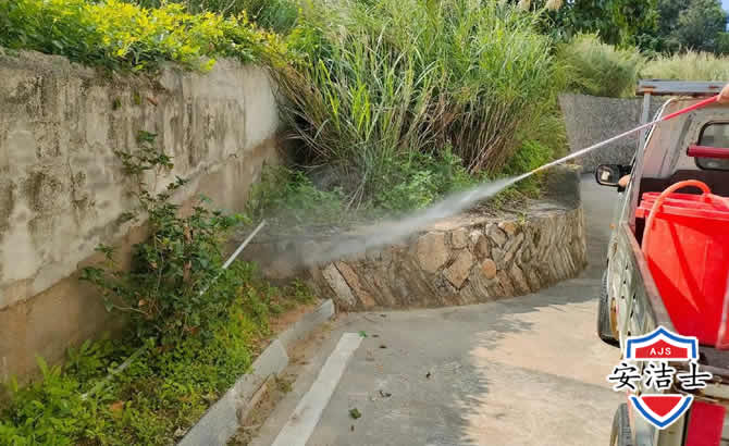 江北区道路堤坝白蚁防治