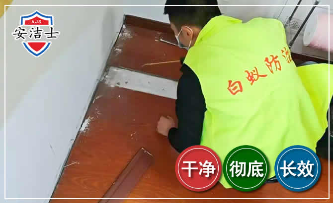 江北区除四害现场