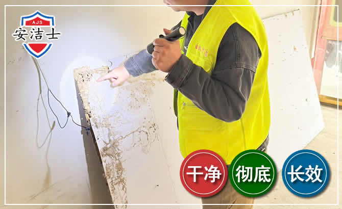 江北区除白蚁现场